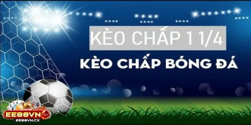 Kèo Chấp 1 1/4 Là Gì - Góc Nhìn Mới Về Một Tỷ Lệ Cân Não Kèo Chấp 1 1/4