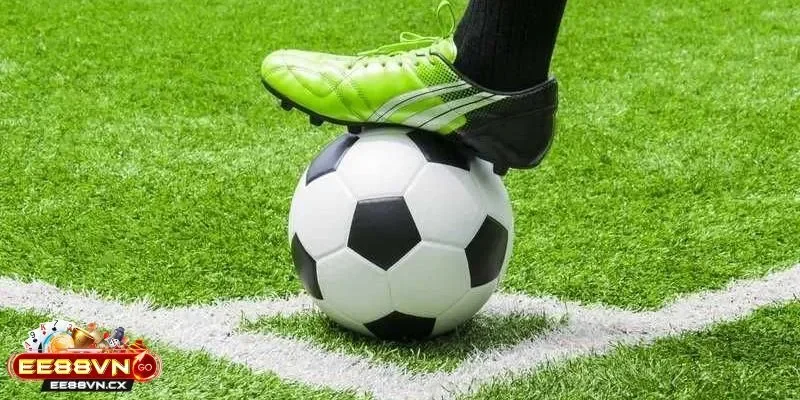 Kèo Chấp ¼ Là Sao - Góc Nhìn Khác Về Một Loại Tỷ Lệ Cá Cược Kèo Chấp ¼ Là sao